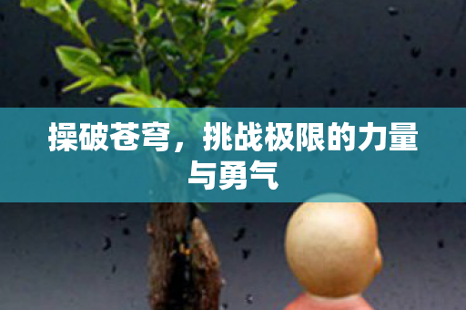 挑战极限的力量与勇气图片