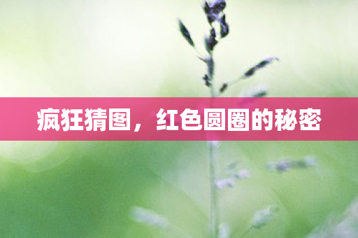 红色圆圈的秘密图片