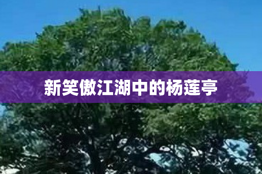 新笑傲江湖中的杨莲亭图片