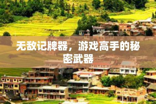 游戏高手的秘密武器图片