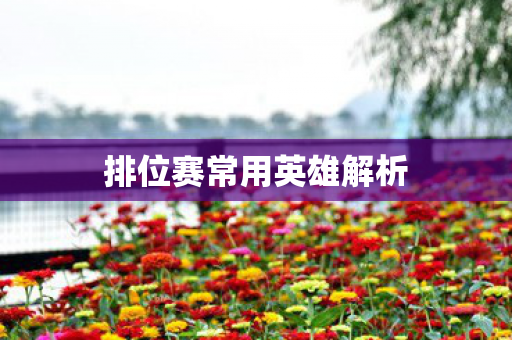 排位赛常用英雄解析图片