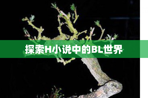 探索H小说中的BL世界图片