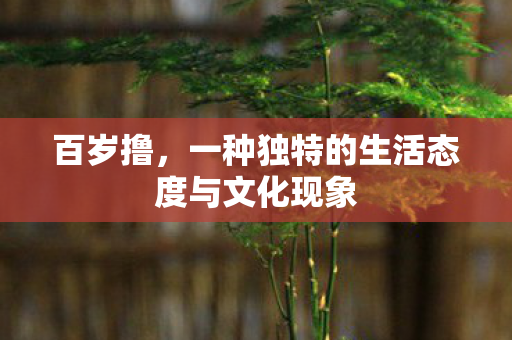 一种独特的生活态度与文化现象图片