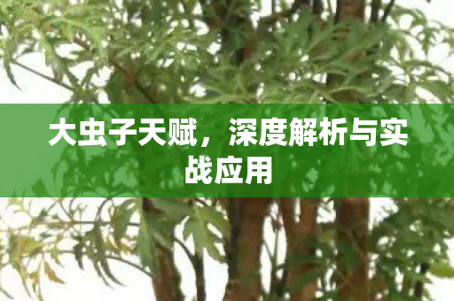 深度解析与实战应用图片