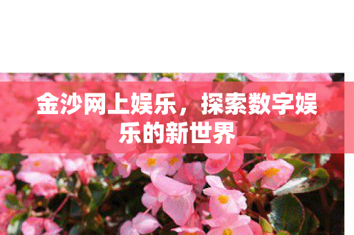 探索数字娱乐的新世界图片