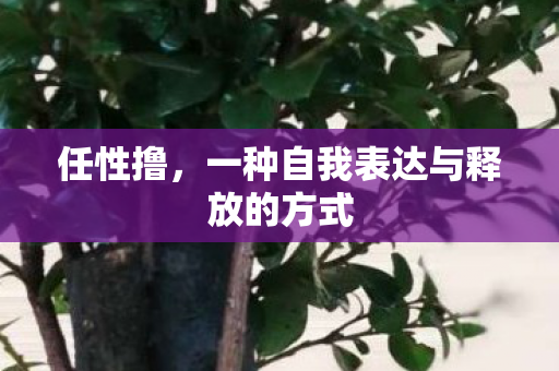 一种自我表达与释放的方式图片