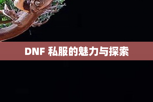 DNF 私服的魅力与探索图片