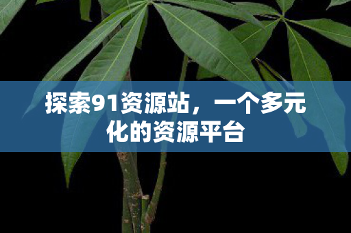一个多元化的资源平台图片