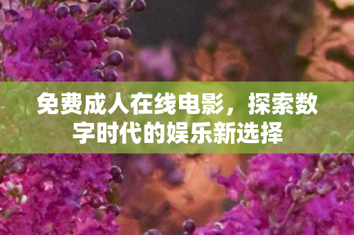 探索数字时代的娱乐新选择图片