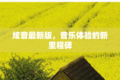 音乐体验的新里程碑图片