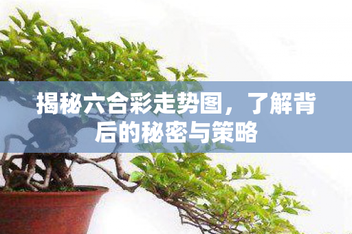 了解背后的秘密与策略图片
