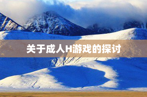 关于成人H游戏的探讨图片