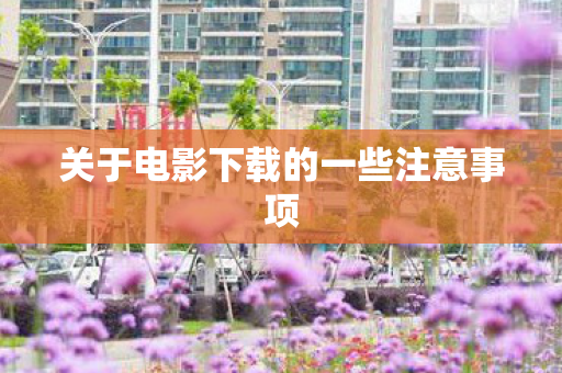 关于电影下载的一些注意事项图片