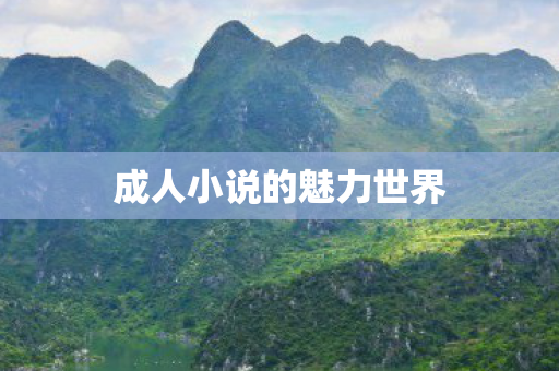 成人小说的魅力世界图片