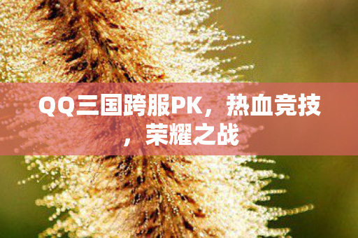 QQ三国跨服PK图片