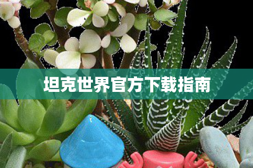 坦克世界官方下载指南图片