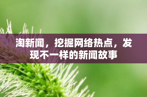 发现不一样的新闻故事图片