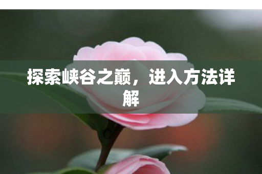 探索峡谷之巅图片