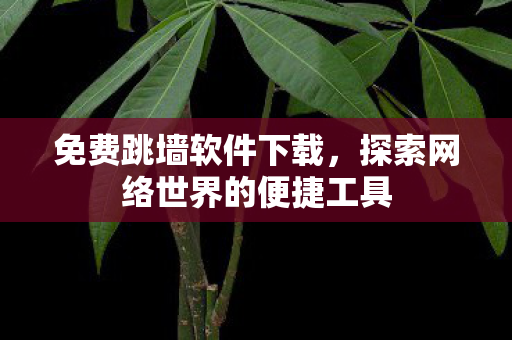 探索网络世界的便捷工具图片