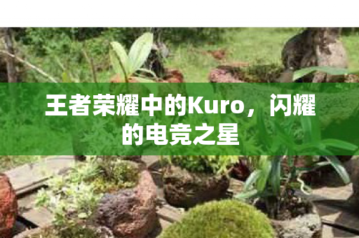 王者荣耀中的Kuro图片