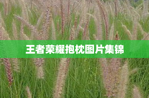 王者荣耀抱枕图片集锦图片