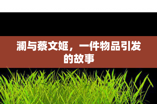 一件物品引发的故事图片