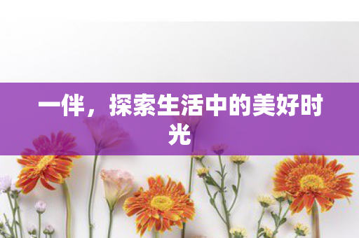 探索生活中的美好时光图片