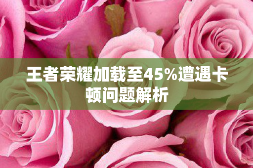 王者荣耀加载至45图片