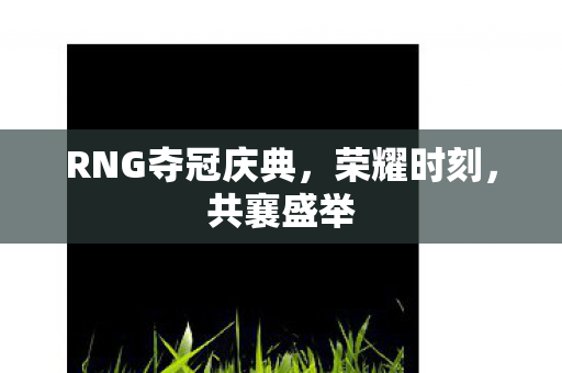 RNG夺冠庆典图片
