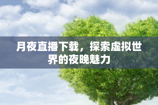 探索虚拟世界的夜晚魅力图片