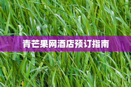 青芒果网酒店预订指南图片