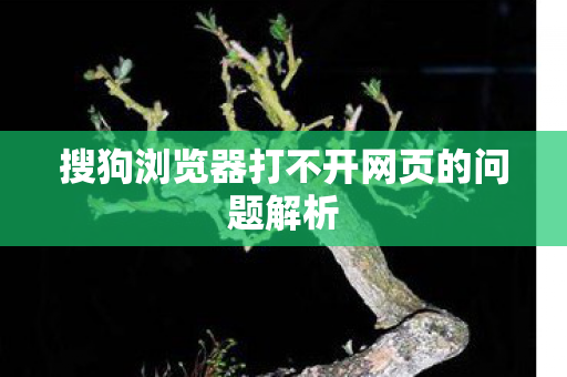 搜狗浏览器打不开网页的问题解析图片
