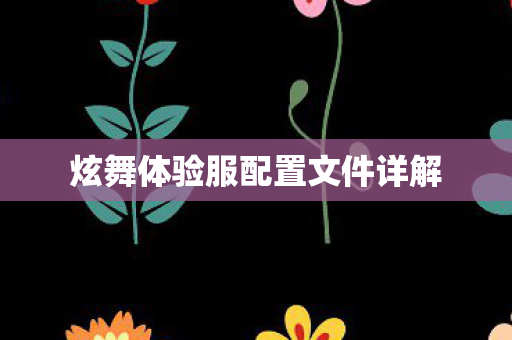 炫舞体验服配置文件详解图片