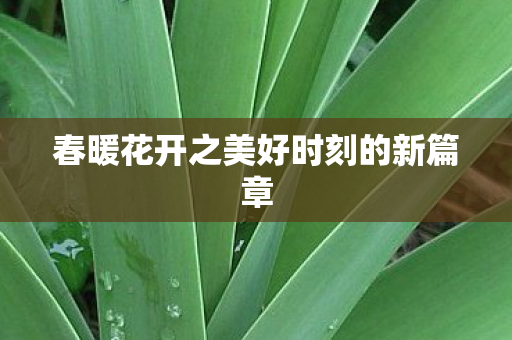 春暖花开之美好时刻的新篇章图片