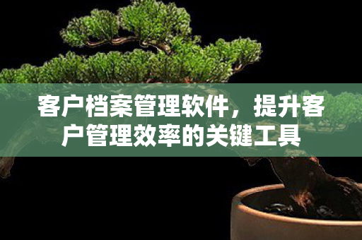 提升客户管理效率的关键工具图片