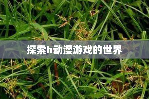 探索h动漫游戏的世界图片
