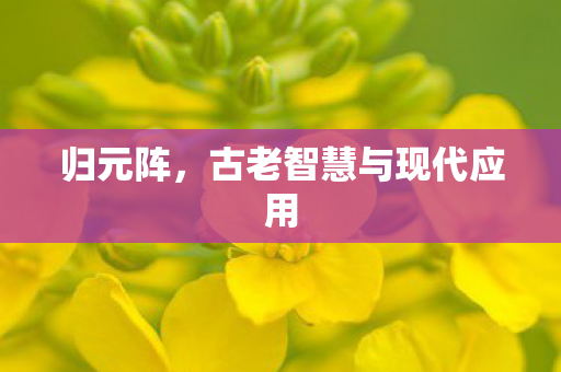 古老智慧与现代应用图片