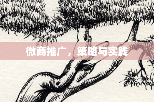 策略与实践图片