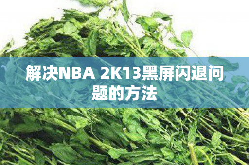 解决NBA 2K13黑屏闪退问题的方法图片