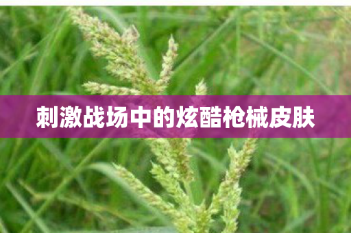 刺激战场中的炫酷枪械皮肤图片