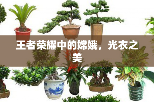 王者荣耀中的嫦娥图片