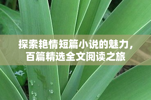 探索艳情短篇小说的魅力图片