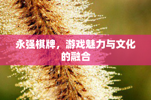 游戏魅力与文化的融合图片