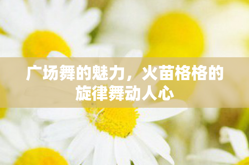 火苗格格的旋律舞动人心图片
