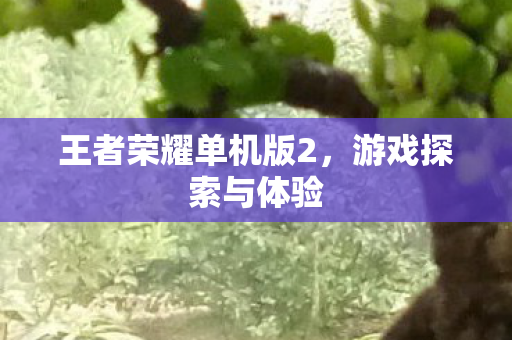 王者荣耀单机版2图片