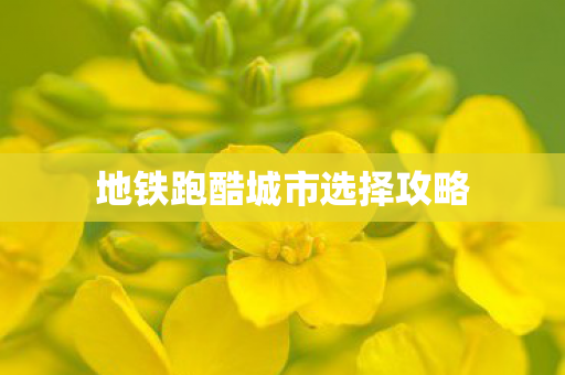 地铁跑酷城市选择攻略图片
