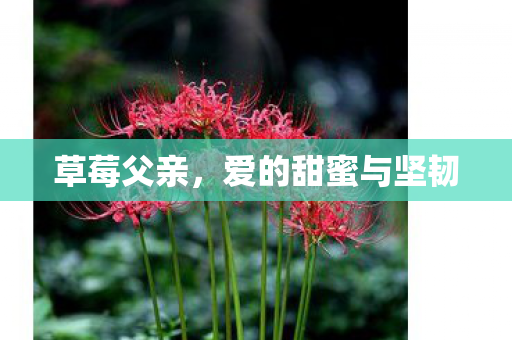 爱的甜蜜与坚韧图片