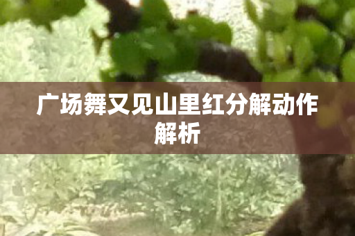 广场舞又见山里红分解动作解析图片