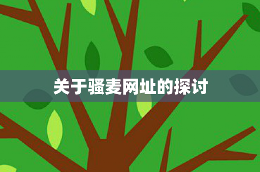 关于骚麦网址的探讨图片