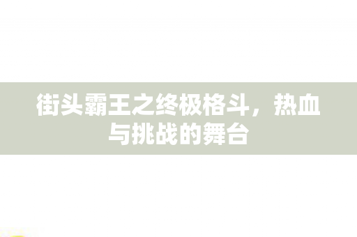 街头霸王之终极格斗图片